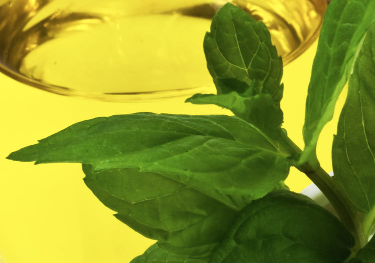 La recette de l'huile d’olive aromatisée au basilic d’un chef étoilé