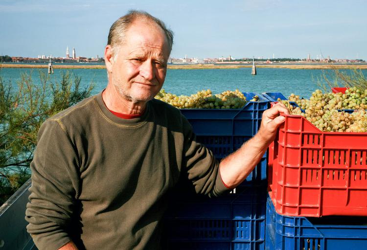 Orto di Venezia : la belle histoire du producteur devenu vigneron